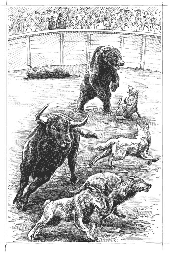 Иллюстрация к книге — Маленький золотоискатель [b00001819.jpg]