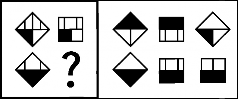 Иллюстрация к книге — Что такое интеллект и как его развивать. Роль образования и традиций [i_002.jpg]