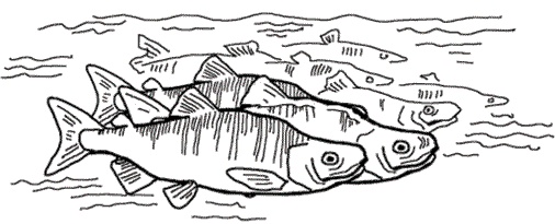 Иллюстрация к книге — Безграничная память. Запоминай быстро, помни долго [i_018.jpg]