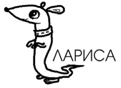 Иллюстрация к книге — Безграничная память. Запоминай быстро, помни долго [i_023.jpg]