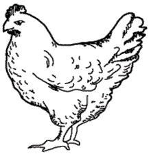 Иллюстрация к книге — Безграничная память. Запоминай быстро, помни долго [i_029.jpg]