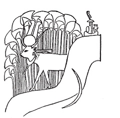 Иллюстрация к книге — Египетская мифология [i_026.jpg]