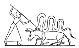 Иллюстрация к книге — Египетская мифология [i_107.jpg]