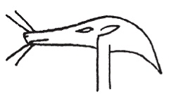 Иллюстрация к книге — Египетская мифология [i_176.jpg]