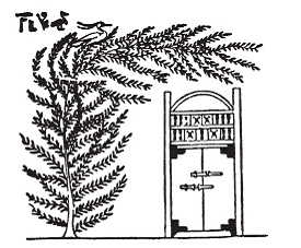 Иллюстрация к книге — Египетская мифология [i_178.jpg]