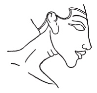 Иллюстрация к книге — Египетская мифология [i_219.jpg]