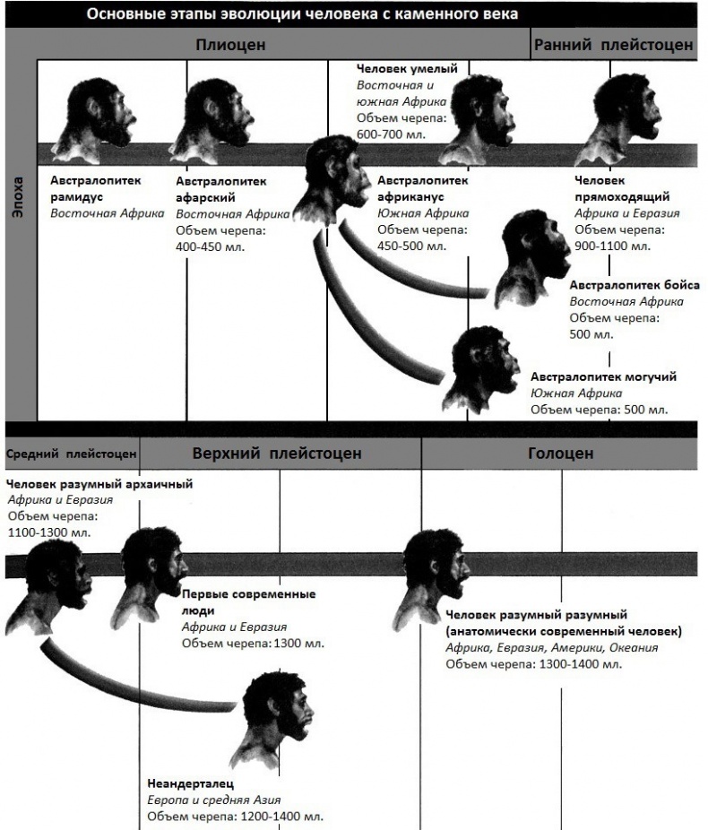 Иллюстрация к книге — Дети вегетарианцы [i_005.jpg]