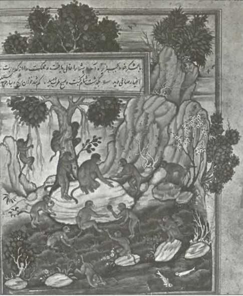 Иллюстрация к книге — Русская Индия [i_009.jpg]