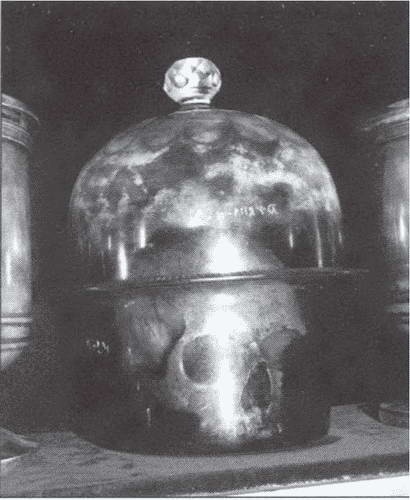 Иллюстрация к книге — Символ "мертвая голова" [i_005.jpg]