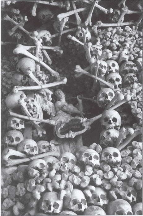 Иллюстрация к книге — Символ "мертвая голова" [i_007.jpg]