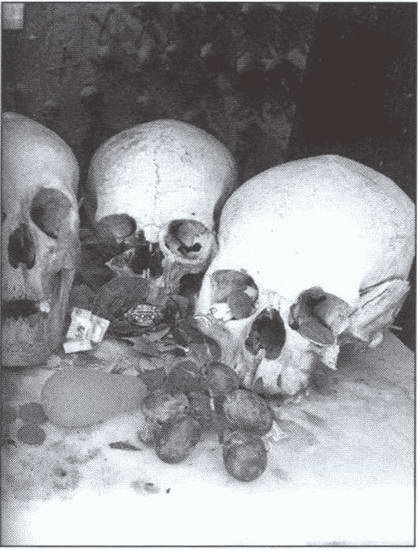 Иллюстрация к книге — Символ "мертвая голова" [i_015.jpg]