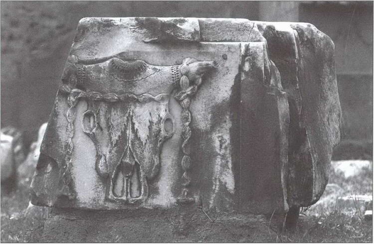 Иллюстрация к книге — Символ "мертвая голова" [i_023.jpg]