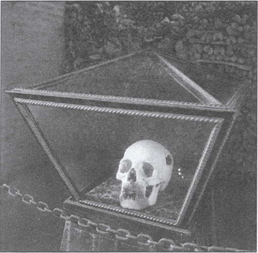 Иллюстрация к книге — Символ "мертвая голова" [i_034.jpg]