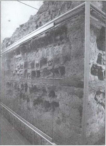 Иллюстрация к книге — Символ "мертвая голова" [i_035.jpg]