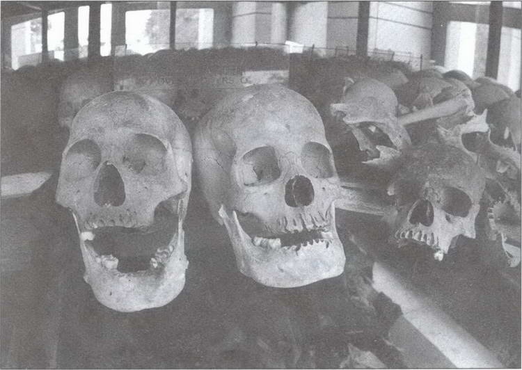 Иллюстрация к книге — Символ "мертвая голова" [i_036.jpg]