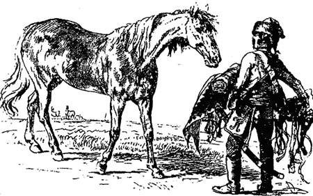 Иллюстрация к книге — Войны и кампании Фридриха Великого [i_050.jpg]