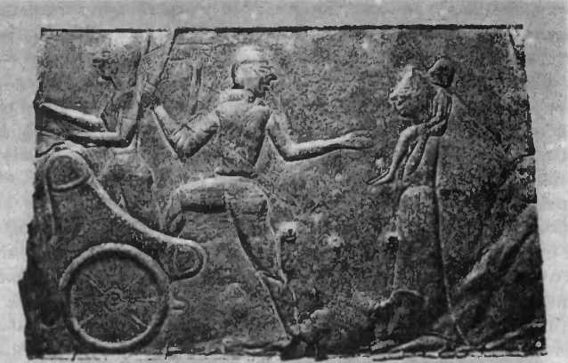 Иллюстрация к книге — Нить Ариадны [doc2fb_image_0200002b.jpg]