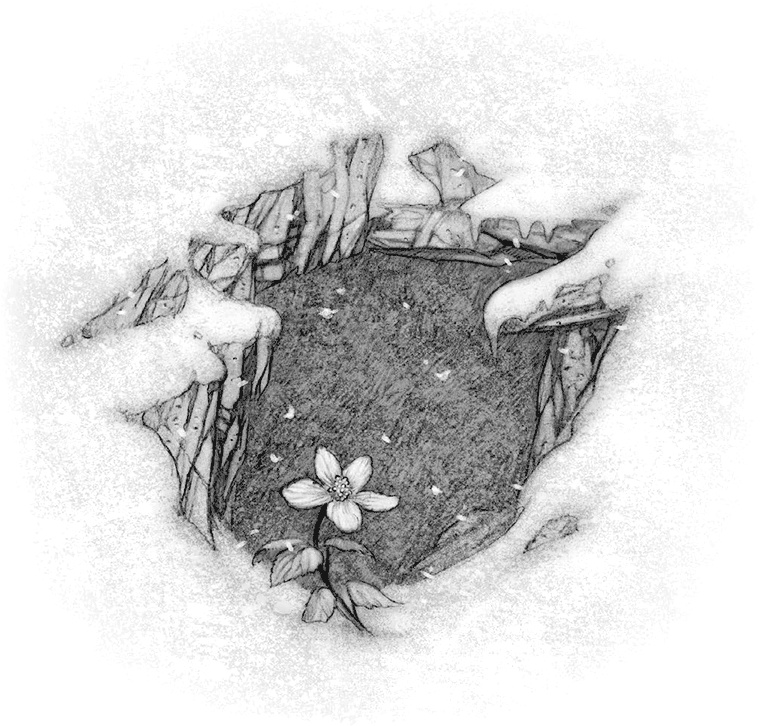 Иллюстрация к книге — Крампус, Повелитель Йоля [i_019.jpg]