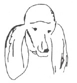 Иллюстрация к книге — Завтрак в облаках [i_012.jpg]