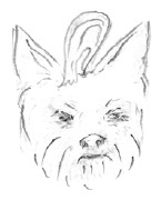 Иллюстрация к книге — Завтрак в облаках [i_013.jpg]