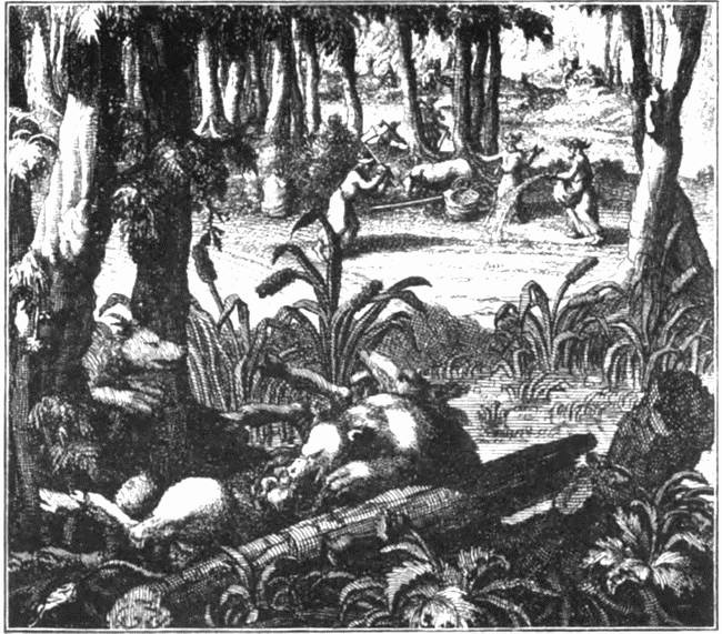 Иллюстрация к книге — Загадочная Московия. Россия глазами иностранцев [i_039.jpg]