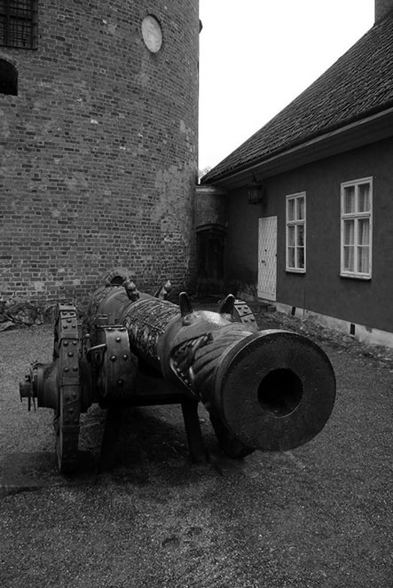 Иллюстрация к книге — Ливонский поход Ивана Грозного [i_024.jpg]