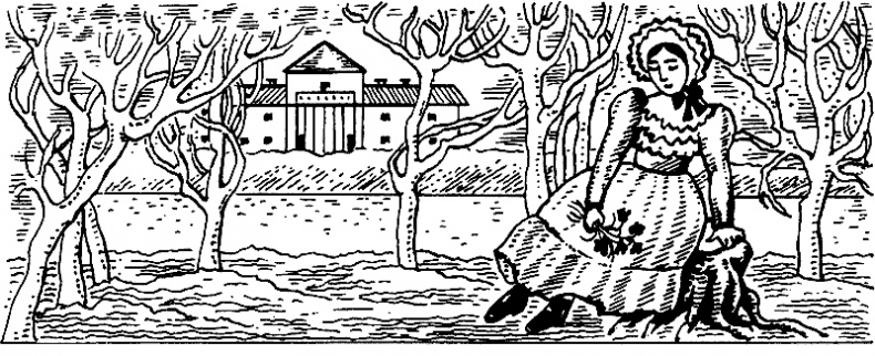 Иллюстрация к книге — Русская литературная усадьба [i_014.jpg]