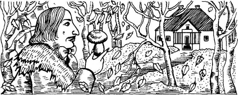 Иллюстрация к книге — Русская литературная усадьба [i_023.jpg]