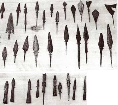 Иллюстрация к книге — Русская армия 1250-1500 [any2fbimgloader26.jpg]