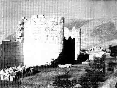 Иллюстрация к книге — Армии мусульманского Востока. VII-XI века [i_011.jpg]