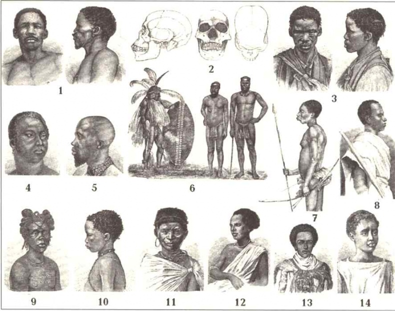 Иллюстрация к книге — Русская Африка [i_013.jpg]