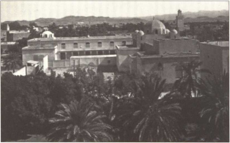 Иллюстрация к книге — Русская Африка [i_021.jpg]