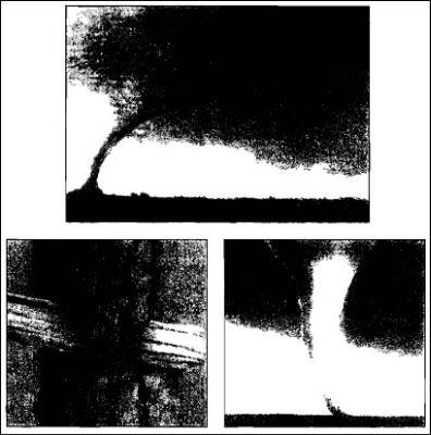 Иллюстрация к книге — Полеты богов и людей [i_016.jpg]