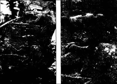 Иллюстрация к книге — Полеты богов и людей [i_095.jpg]