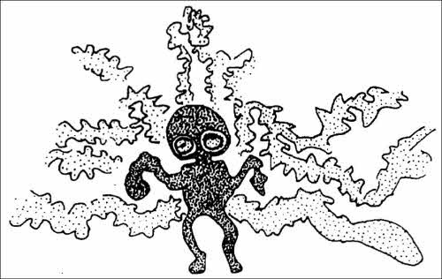 Иллюстрация к книге — Полеты богов и людей [i_122.jpg]