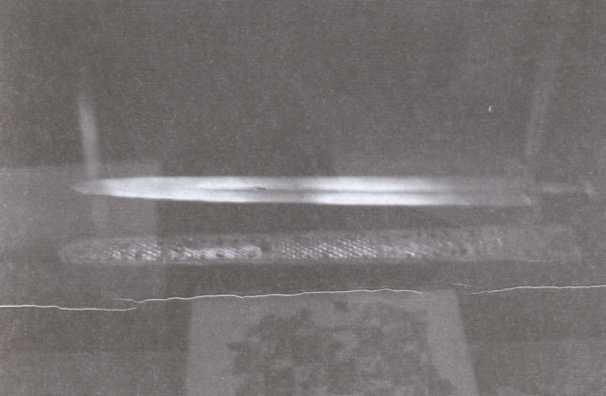 Иллюстрация к книге — Легендарное оружие древности [i_009.jpg]