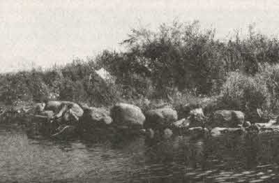 Иллюстрация к книге — Сокровища на дне [i_083.jpg]