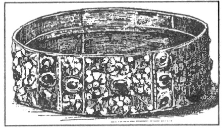 Иллюстрация к книге — История тайной войны в Средние века [i_022.jpg]