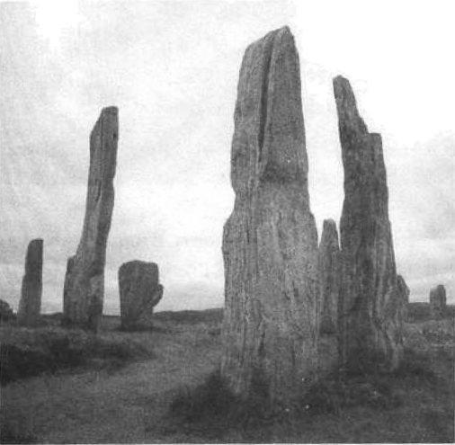 Иллюстрация к книге — Цивилизация. Новая история Западного мира [img_27.jpg]