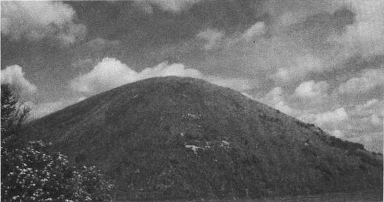 Иллюстрация к книге — Цивилизация. Новая история Западного мира [img_29.jpg]