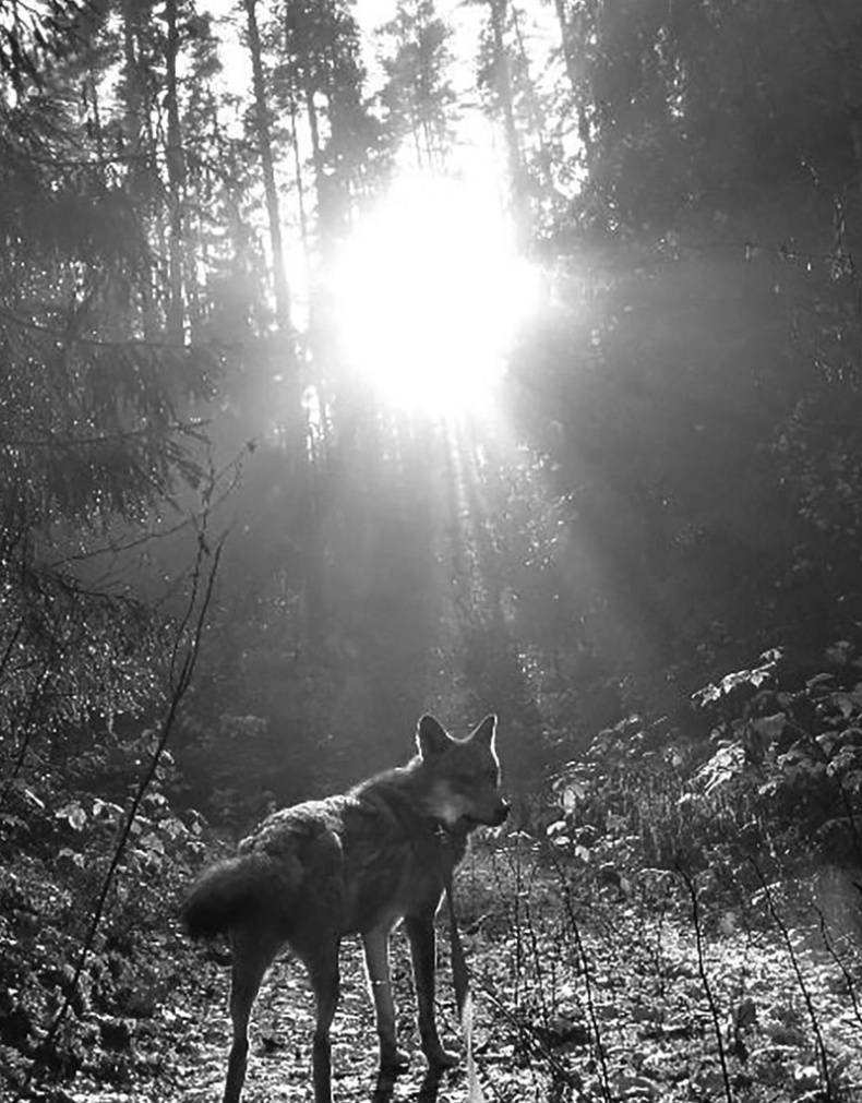 Иллюстрация к книге — Ты, главное, пиши о любви [i_001.jpg]