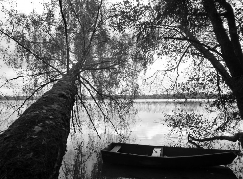 Иллюстрация к книге — Ты, главное, пиши о любви [i_002.jpg]