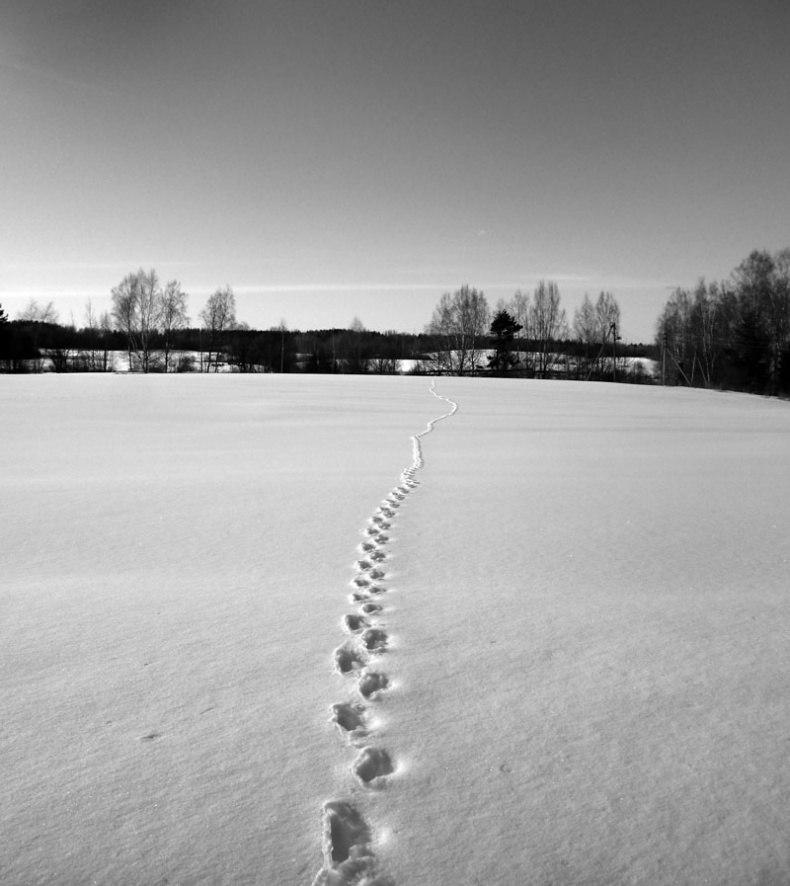 Иллюстрация к книге — Ты, главное, пиши о любви [i_003.jpg]