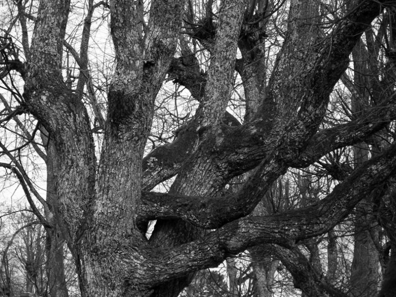 Иллюстрация к книге — Ты, главное, пиши о любви [i_004.jpg]