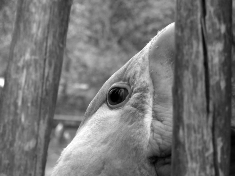 Иллюстрация к книге — Ты, главное, пиши о любви [i_009.jpg]