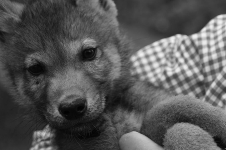 Иллюстрация к книге — Ты, главное, пиши о любви [i_013.jpg]