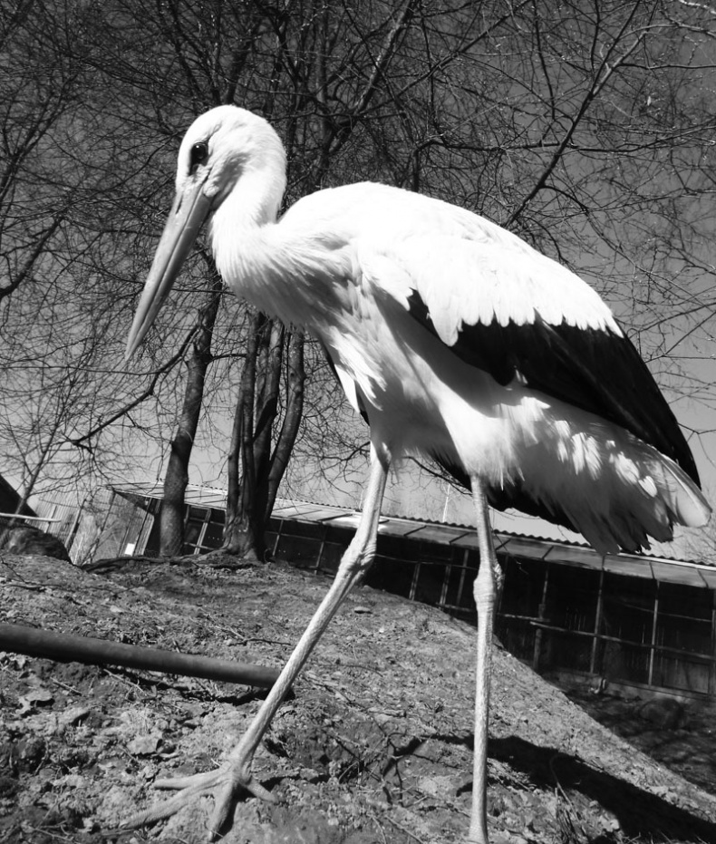 Иллюстрация к книге — Ты, главное, пиши о любви [i_017.jpg]