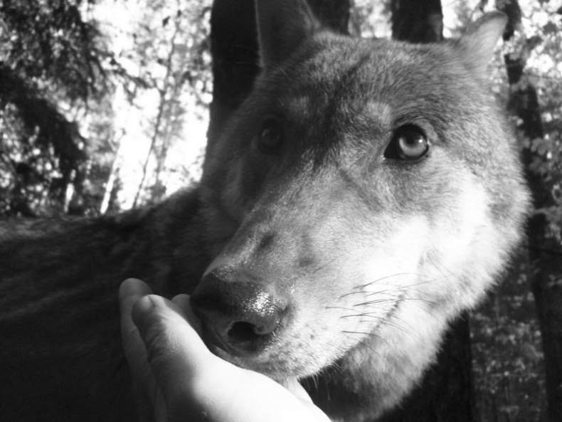 Иллюстрация к книге — Ты, главное, пиши о любви [i_018.jpg]