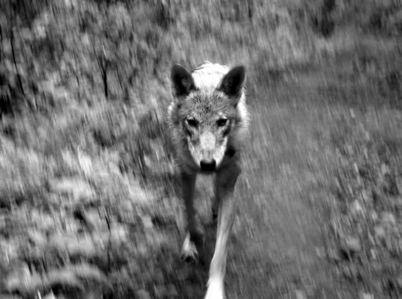 Иллюстрация к книге — Ты, главное, пиши о любви [i_020.jpg]