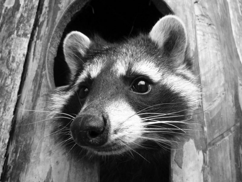 Иллюстрация к книге — Ты, главное, пиши о любви [i_021.jpg]